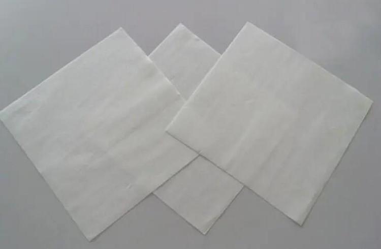 tissue sap paper